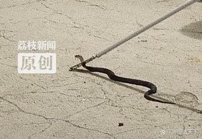 热点生活 第48页