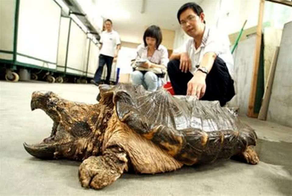 地方新闻 第48页