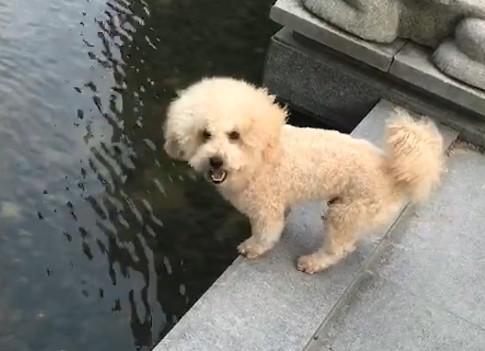 港澳新闻 第39页