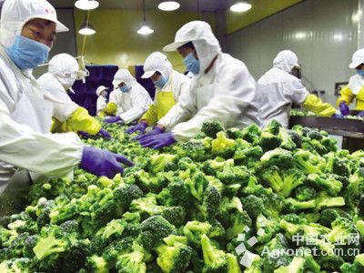 中国输美蔬菜卖日本中国输美蔬菜卖日本的情况是一个涉及国际贸易和供应链的问题，涉及到多个方面的因素。