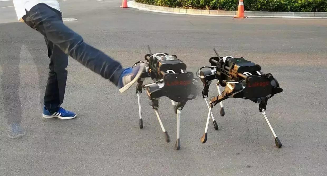 王兴兴谈宇树机器人夺冠：意料之中王兴兴谈宇树机器人夺冠，意料之中