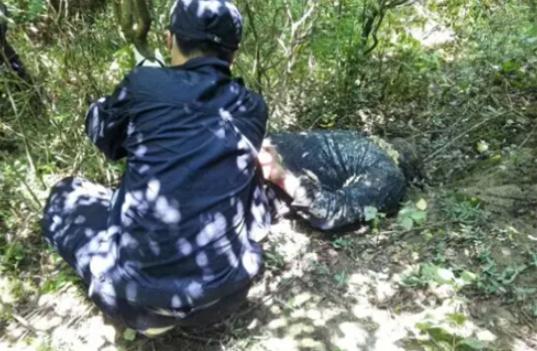 被9人打死弃尸山谷震惊！被9人打死弃尸山谷的悲惨事件