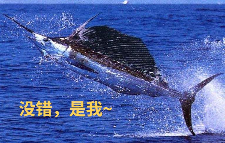台风“剑鱼”来势猛 三亚有门窗受损台风剑鱼强势来袭，三亚门窗受损情况一览
