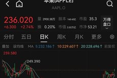 中国首起反规避调查中国首起反规避调查，探究与启示